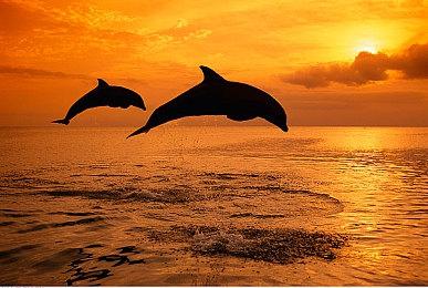 重温经典 玩家自制《毁灭公爵3D：遗产版》发布